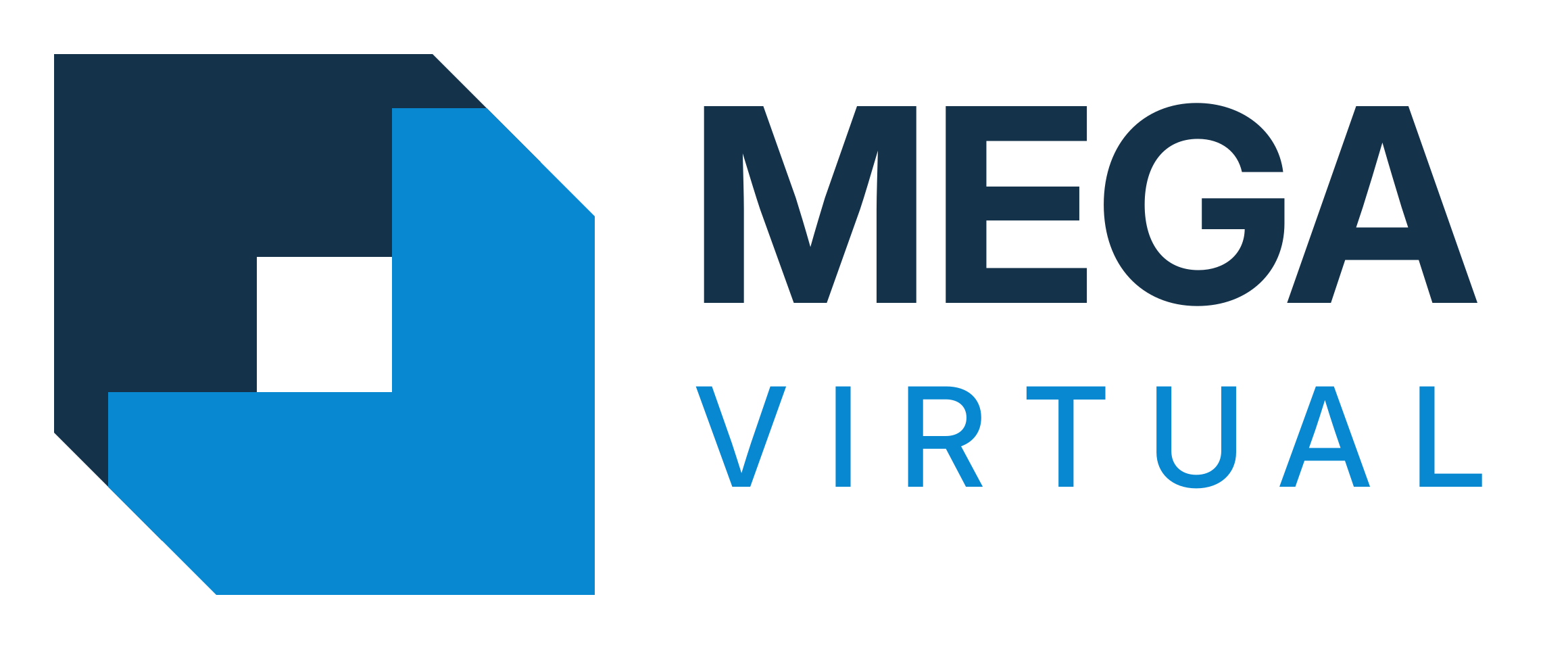 MegaVirtual